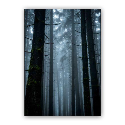 Carpathian Whispers: The Foggy Pine Forest wall art poster