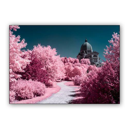 Montreal Infrared: St. Joseph's Oratory wall art poster