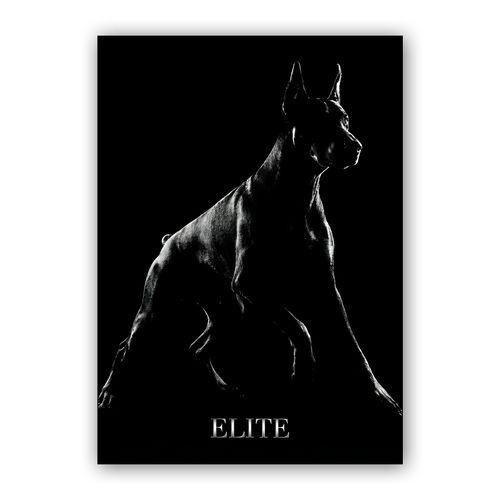 Shadow Elite: Doberman Portrait wall art poster