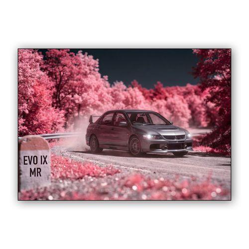 Pink Echo: Evolution IX on the Mountain Pass wall art poster