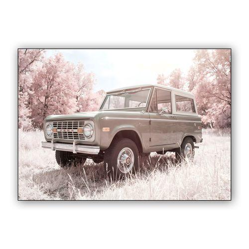 Infrared Bronco: A Dream in Sage and Pink wall art poster