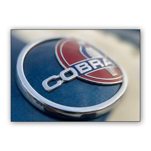 Shelby Cobra Chrome Emblem Macro wall art poster