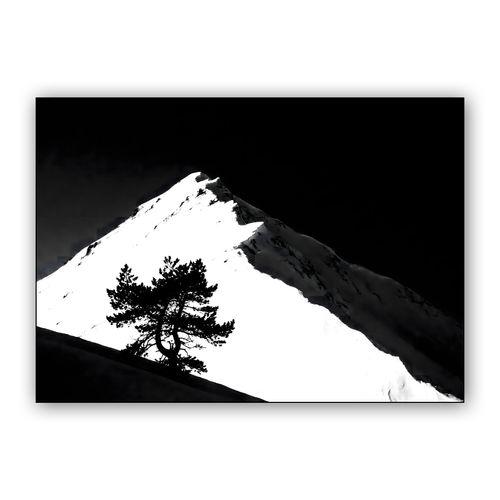 The Silent Sentinel wall art poster