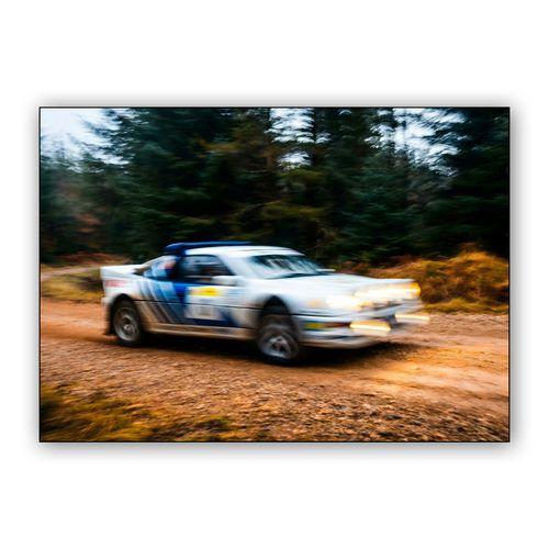 Forest Fury: Ford RS200 Group B Rally Action wall art poster