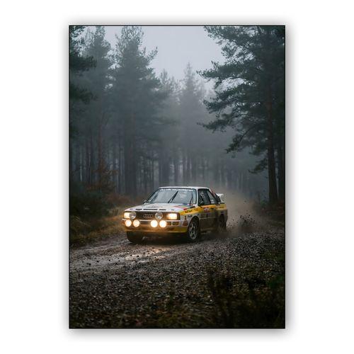 Audi Sport Quattro S1 Mistbound Rally wall art poster