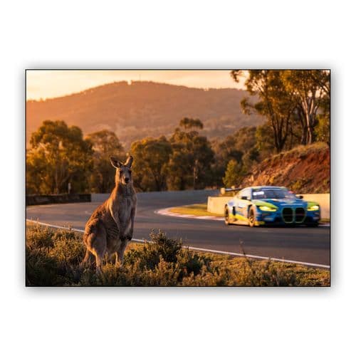 Sentinel of the Mountain wall art poster