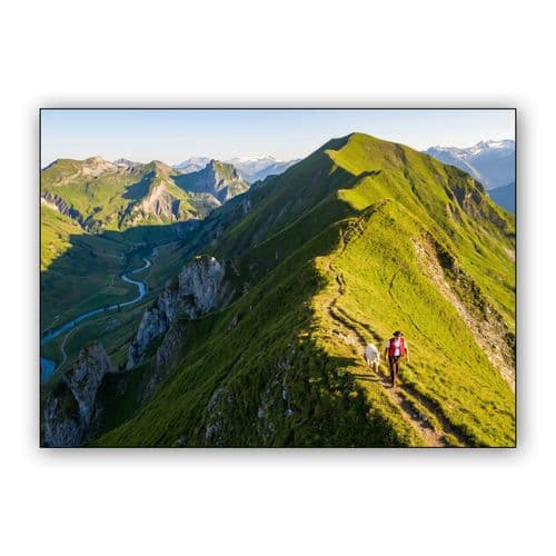 Seg