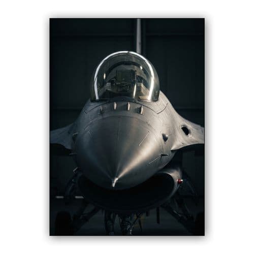 F-16 Fighting Falcon Front Portrait wall art poster