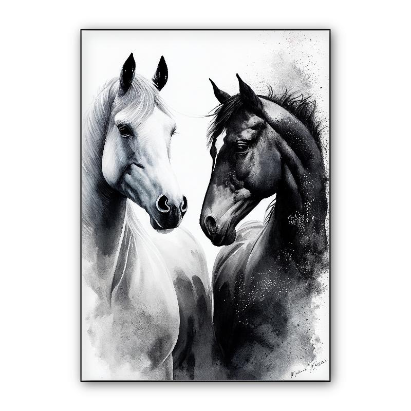 Black and White Horse 