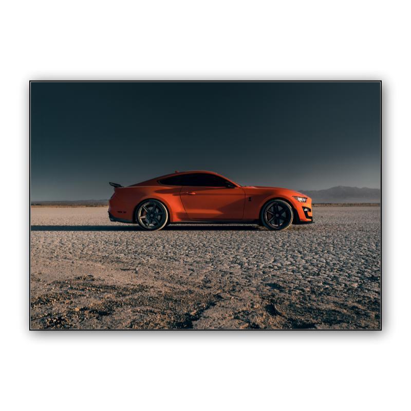 Ford Mustang Shelby GT500