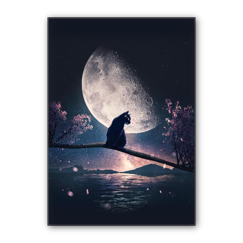 Cat, Moon and Stars