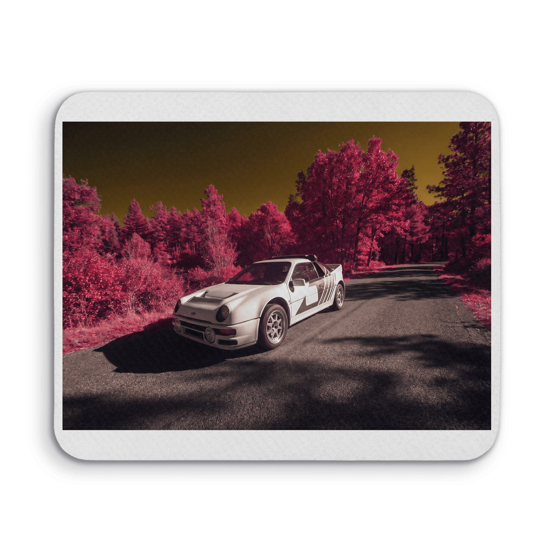 Ford RS200 Aerochrome Forest