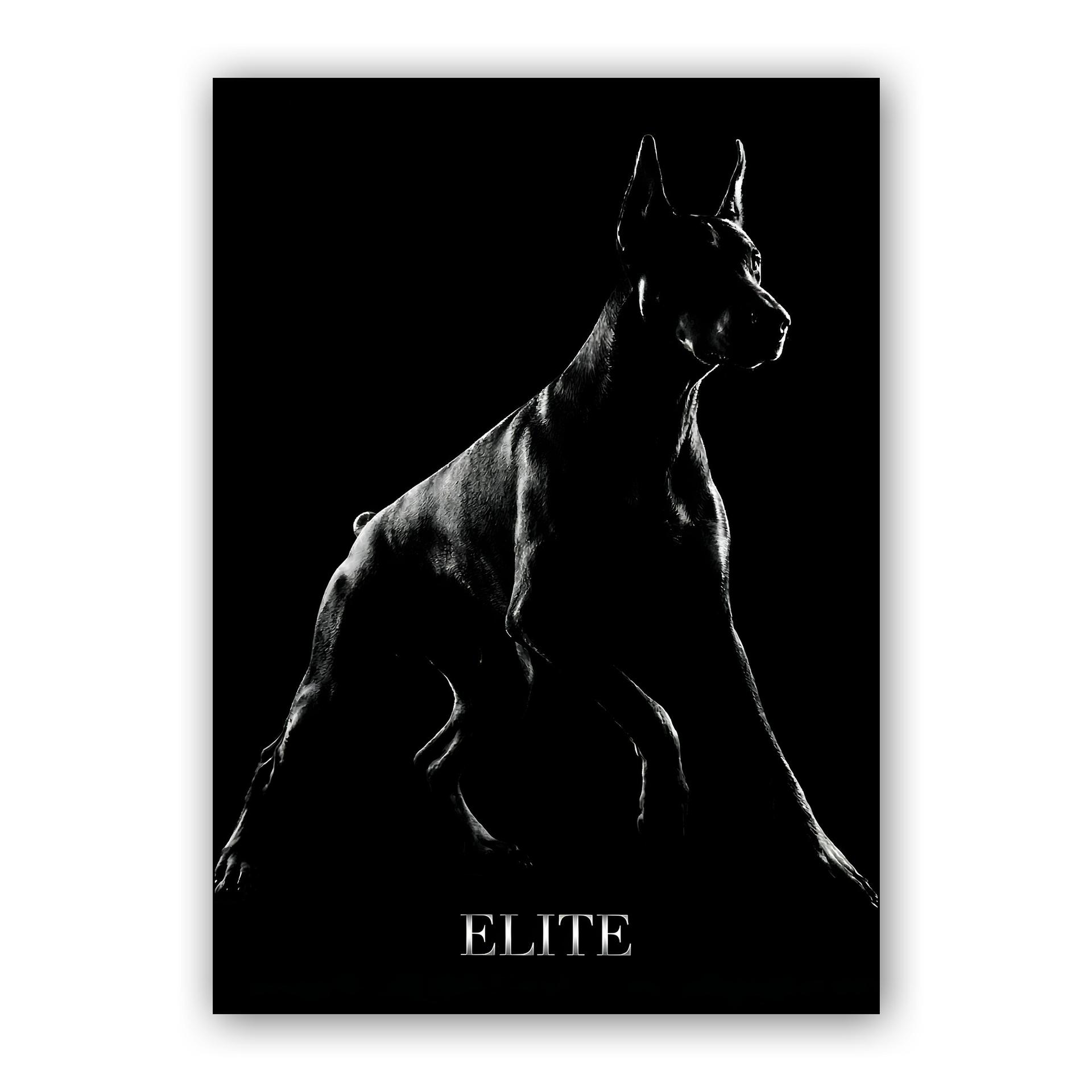 Shadow Elite: Doberman Portrait