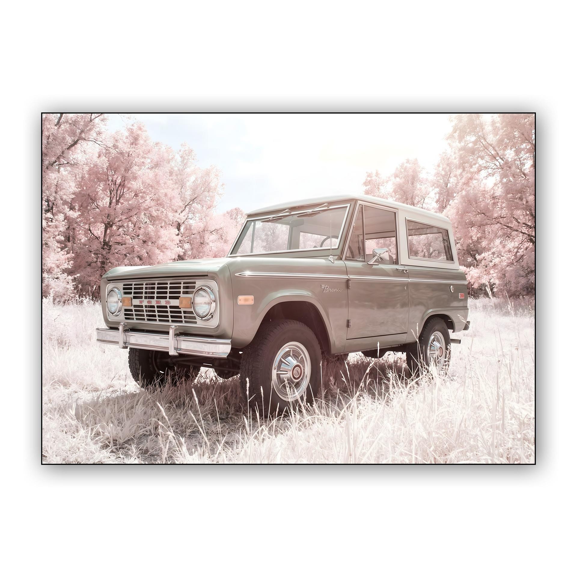 Infrared Bronco: A Dream in Sage and Pink