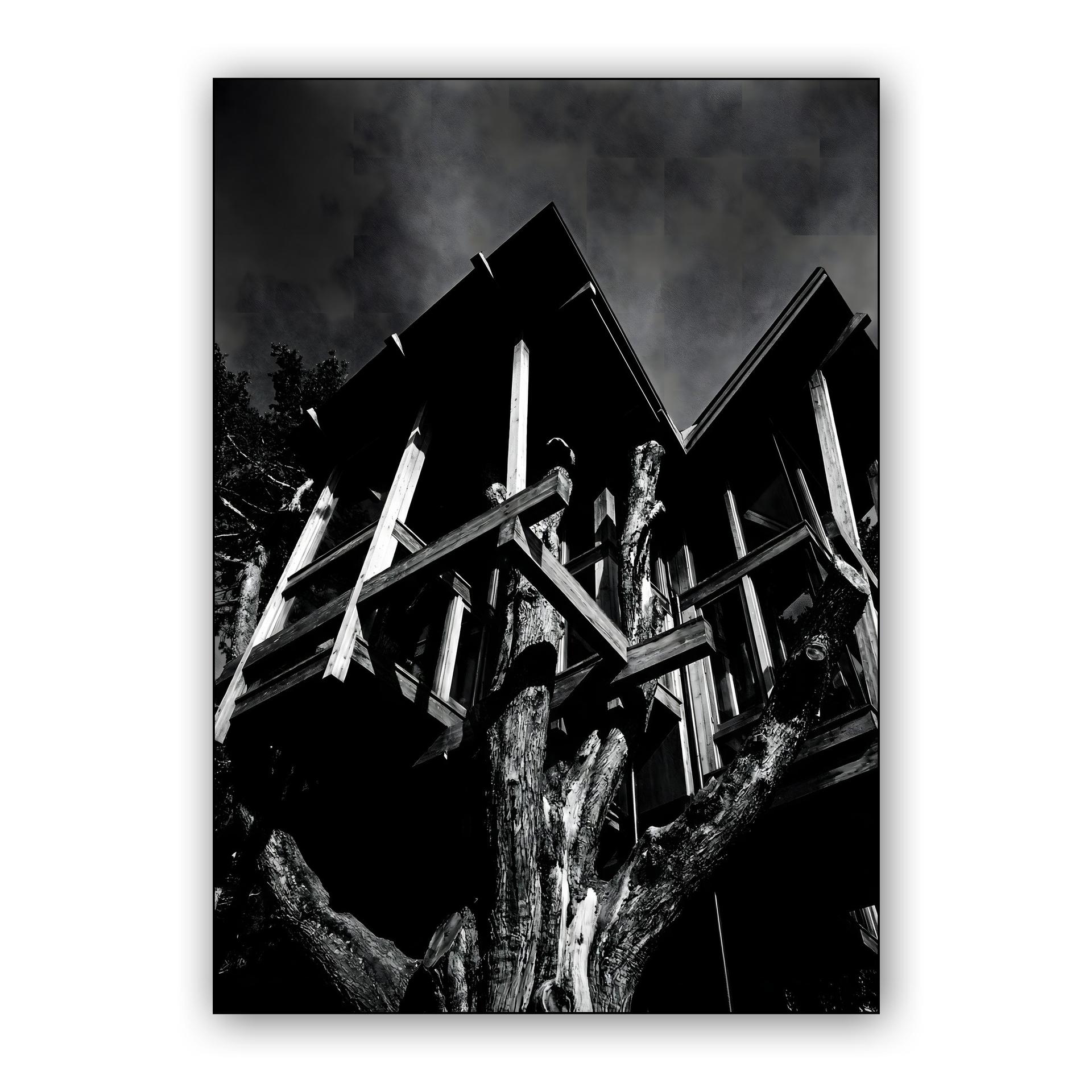 Structural Ascent: Shadows in the Canopy