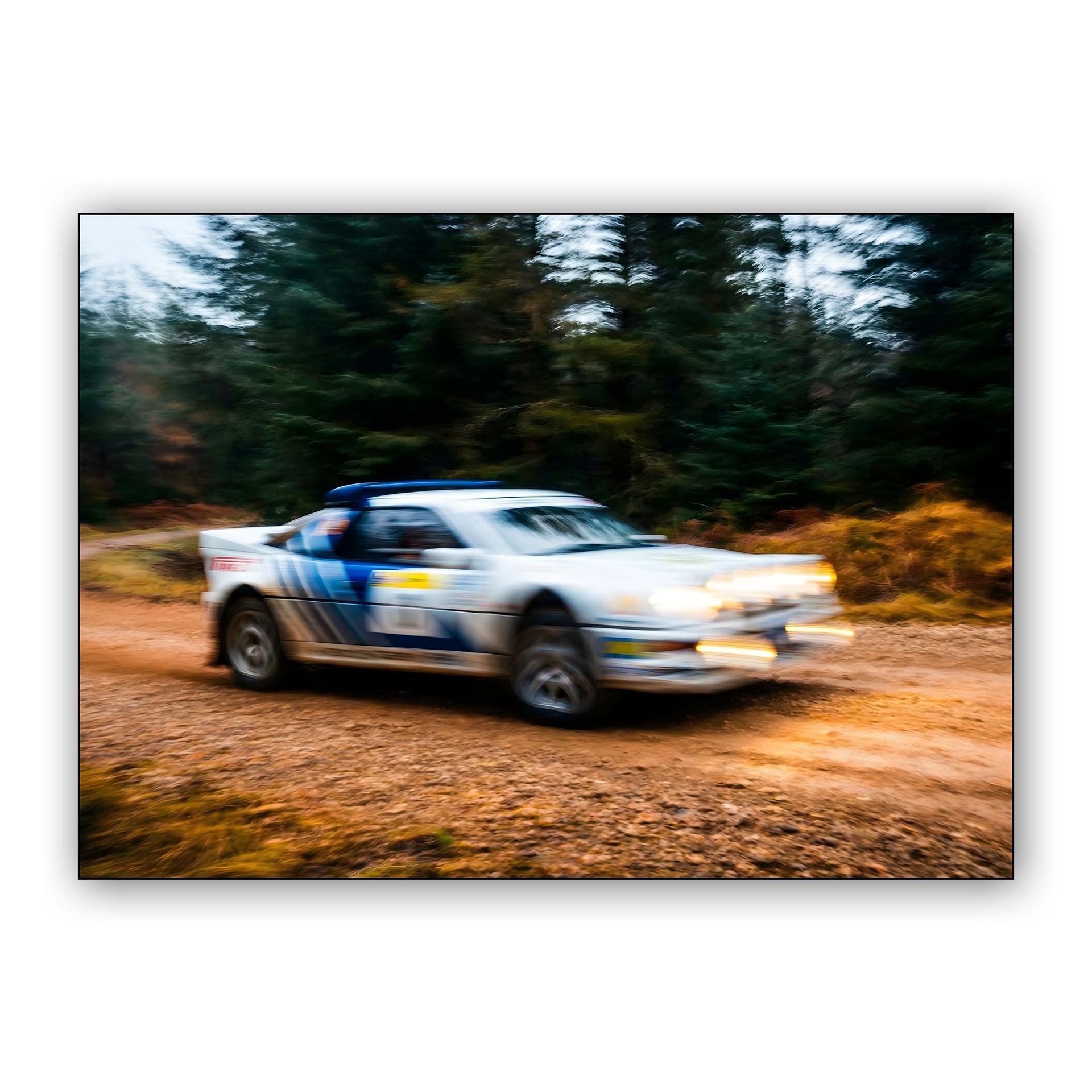 Forest Fury: Ford RS200 Group B Rally Action