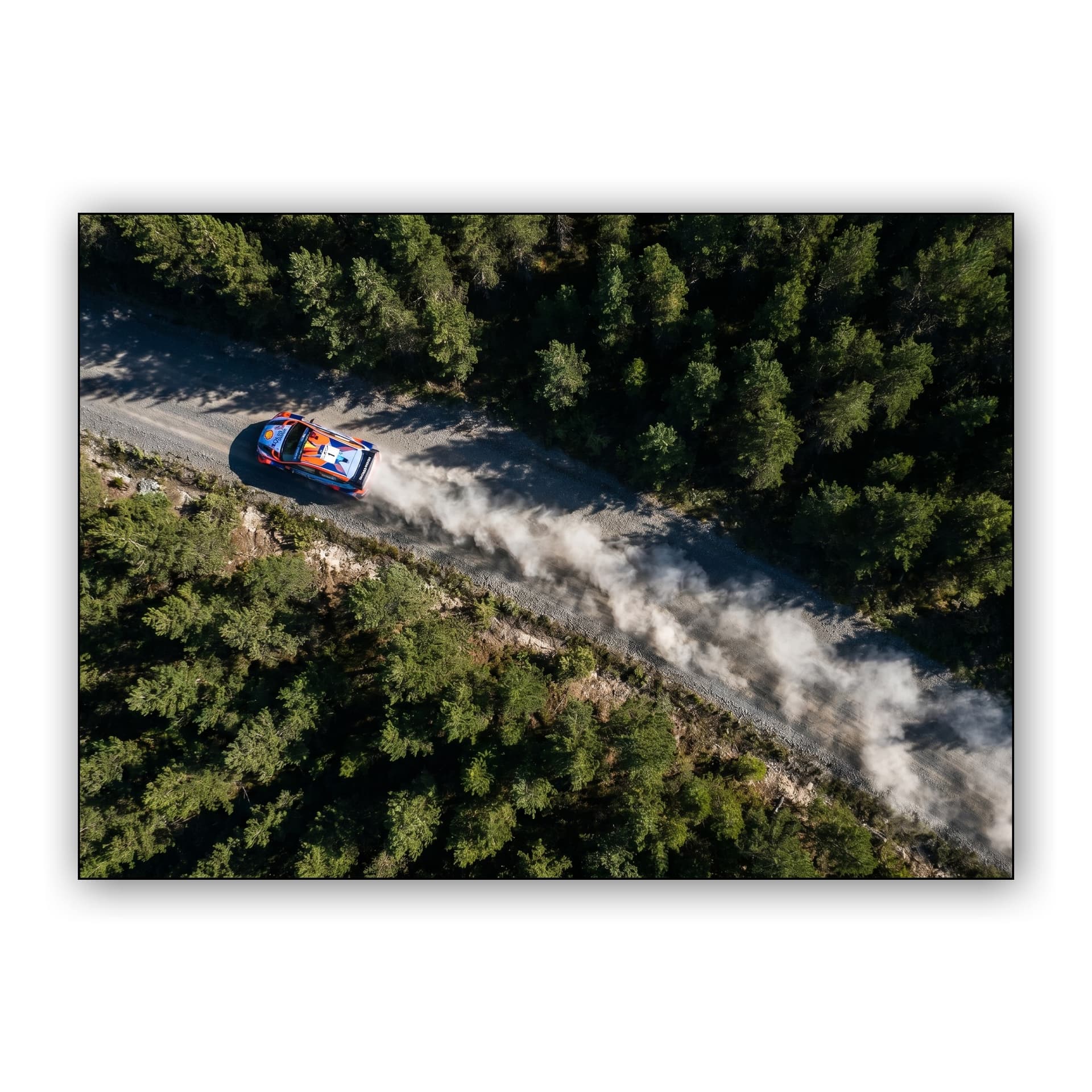 Rally Forest Dust Trail Aerial View