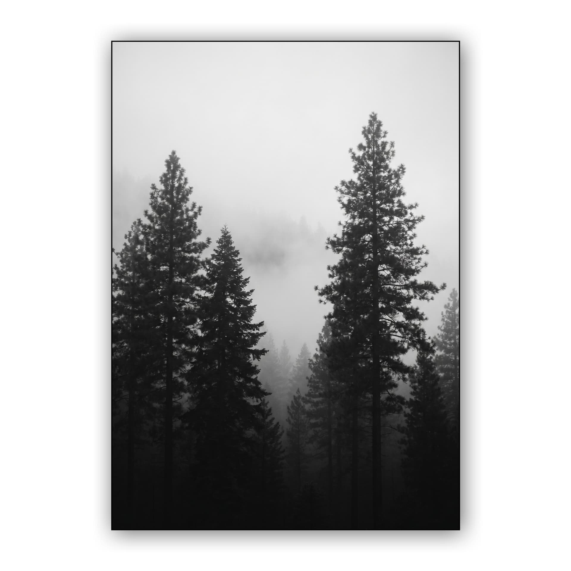 Whispers in the Mist
