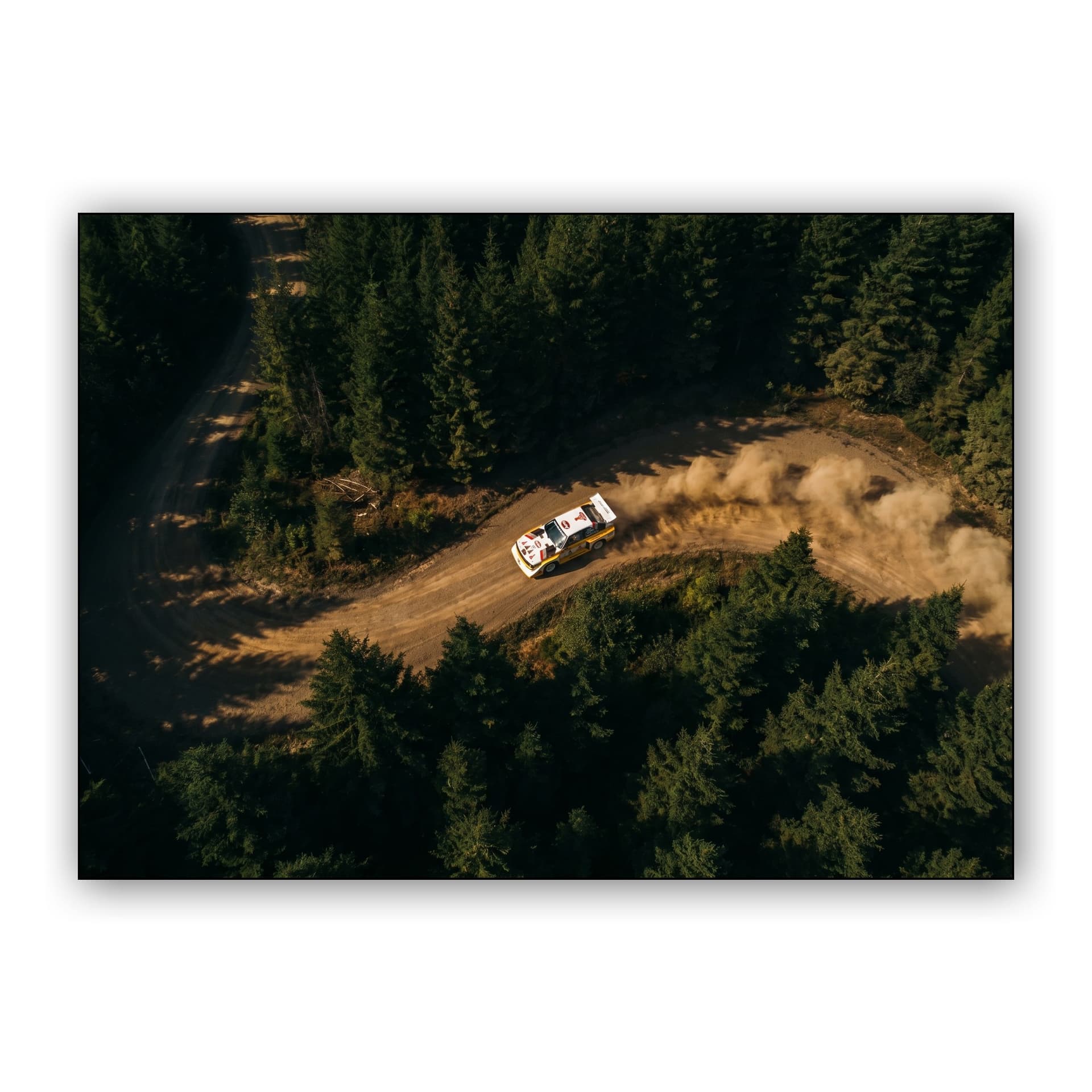 Group B Legend: Audi S1 E2 Forest Drift