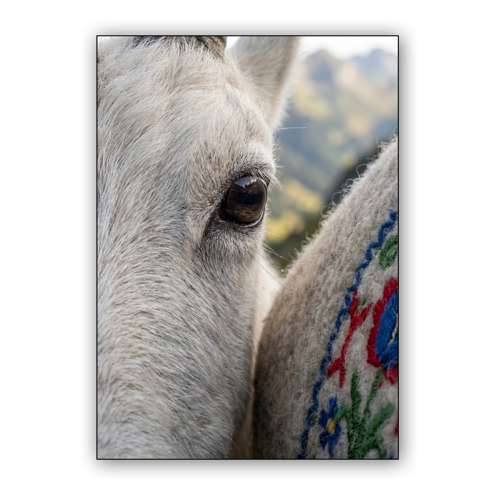 Alpine Reflection - Close-Up Goat and Embroidery Art
